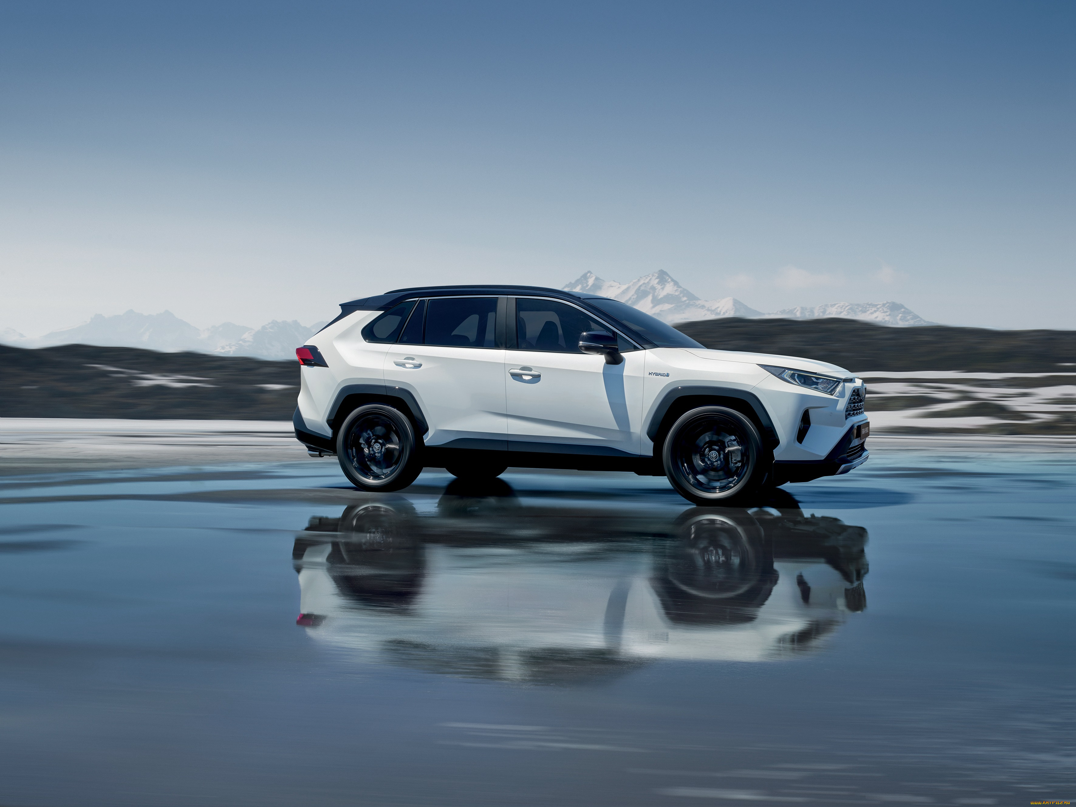 , toyota